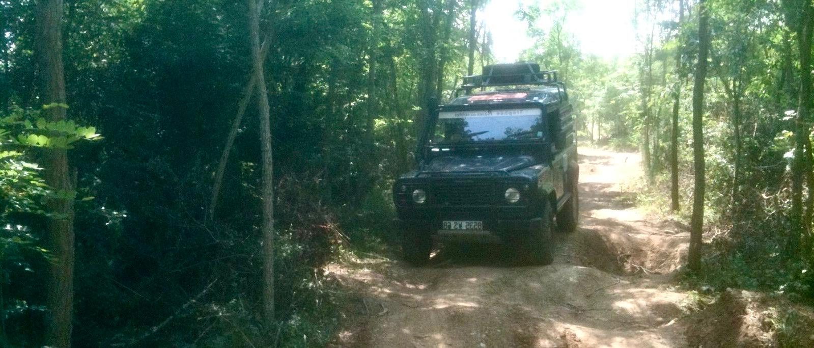 4×4 en progression sur un sentier boisé de la piste tout-terrain